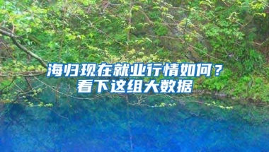 海歸現在就業(yè)行情如何？看下這組大數據