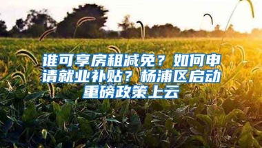 誰(shuí)可享房租減免？如何申請(qǐng)就業(yè)補(bǔ)貼？楊浦區(qū)啟動(dòng)重磅政策上云