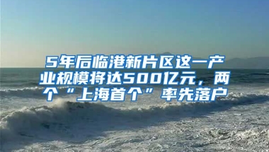 5年后臨港新片區(qū)這一產(chǎn)業(yè)規(guī)模將達500億元，兩個“上海首個”率先落戶