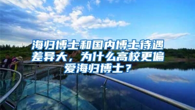 海歸博士和國內(nèi)博士待遇差異大，為什么高校更偏愛海歸博士？