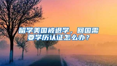 留學美國被退學，回國需要學歷認證怎么辦？