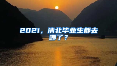 2021，清北畢業(yè)生都去哪了？