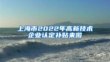 上海市2022年高新技術(shù)企業(yè)認(rèn)定補(bǔ)貼來(lái)啦