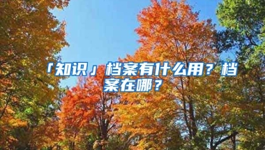 「知識」檔案有什么用？檔案在哪？