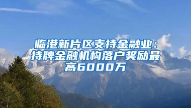 臨港新片區(qū)支持金融業(yè)：持牌金融機(jī)構(gòu)落戶獎(jiǎng)勵(lì)最高6000萬(wàn)