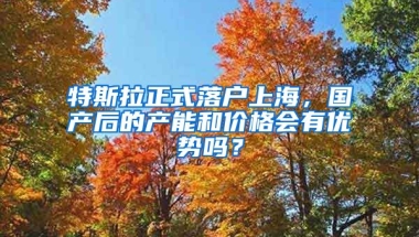 特斯拉正式落戶上海，國產(chǎn)后的產(chǎn)能和價(jià)格會(huì)有優(yōu)勢(shì)嗎？