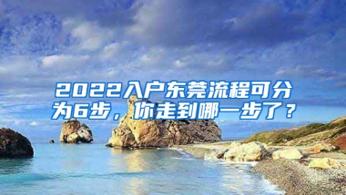 2022入戶東莞流程可分為6步，你走到哪一步了？