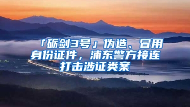 「礪劍3號」偽造、冒用身份證件，浦東警方接連打擊涉證類案