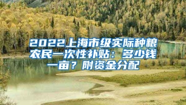 2022上海市級(jí)實(shí)際種糧農(nóng)民一次性補(bǔ)貼：多少錢一畝？附資金分配