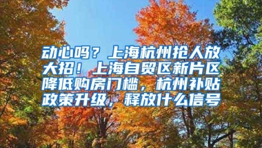 動心嗎？上海杭州搶人放大招！上海自貿區(qū)新片區(qū)降低購房門檻，杭州補貼政策升級，釋放什么信號