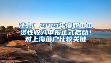 注意！2021年度職工工資性收入申報(bào)正式啟動(dòng)！對(duì)上海落戶比較關(guān)鍵