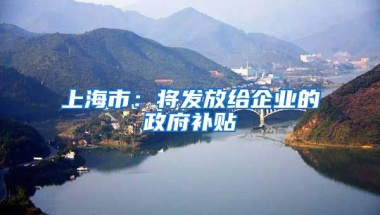 上海市：將發(fā)放給企業(yè)的政府補貼