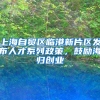 上海自貿(mào)區(qū)臨港新片區(qū)發(fā)布人才系列政策，鼓勵(lì)海歸創(chuàng)業(yè)