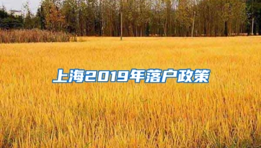 上海2019年落戶政策