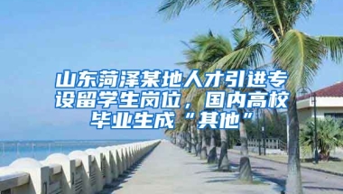 山東菏澤某地人才引進專設留學生崗位，國內(nèi)高校畢業(yè)生成“其他”