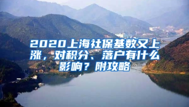 2020上海社?；鶖?shù)又上漲，對積分、落戶有什么影響？附攻略