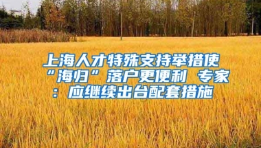 上海人才特殊支持舉措使“海歸”落戶更便利 專家：應繼續(xù)出臺配套措施