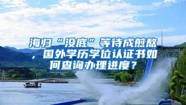 海歸“沒(méi)底”等待成煎熬，國(guó)外學(xué)歷學(xué)位認(rèn)證書如何查詢辦理進(jìn)度？