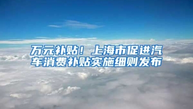 萬元補貼！上海市促進汽車消費補貼實施細則發(fā)布