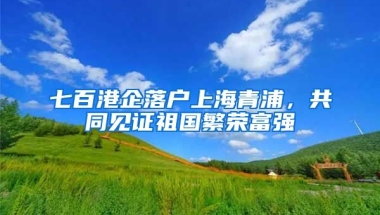 七百港企落戶上海青浦，共同見證祖國(guó)繁榮富強(qiáng)