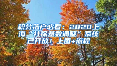 積分落戶必看：2020上?！吧绫；鶖?shù)調整”系統(tǒng)已開放！上圖+流程