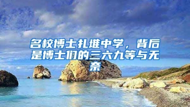 名校博士扎堆中學(xué)，背后是博士們的三六九等與無奈