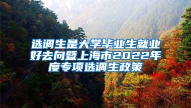 選調(diào)生是大學畢業(yè)生就業(yè)好去向暨上海市2022年度專項選調(diào)生政策