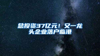 總投資37億元！又一龍頭企業(yè)落戶臨港