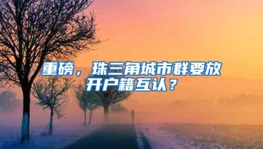 重磅，珠三角城市群要放開(kāi)戶籍互認(rèn)？