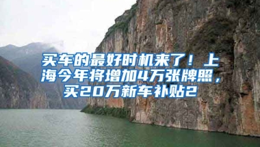 買車的最好時(shí)機(jī)來(lái)了！上海今年將增加4萬(wàn)張牌照，買20萬(wàn)新車補(bǔ)貼2