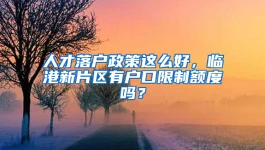 人才落戶政策這么好，臨港新片區(qū)有戶口限制額度嗎？