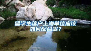 留學(xué)生落戶上海單位應(yīng)該如何配合呢？