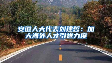 安徽人大代表劉建哲：加大海外人才引進(jìn)力度