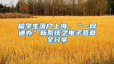 留學(xué)生落戶上海，“一網(wǎng)通辦”新系統(tǒng)之電子簽章全分享