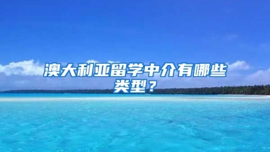 澳大利亞留學中介有哪些類型？