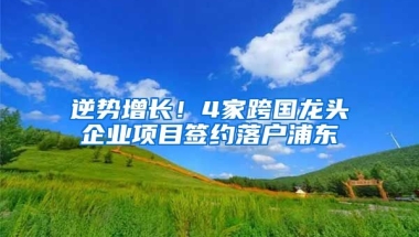 逆勢增長！4家跨國龍頭企業(yè)項目簽約落戶浦東