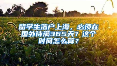 留學(xué)生落戶上海，必須在國外待滿365天？這個時間怎么算？