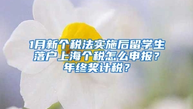 1月新個稅法實施后留學(xué)生落戶上海個稅怎么申報？年終獎計稅？