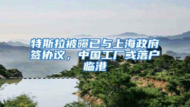 特斯拉被曝已與上海政府簽協(xié)議，中國(guó)工廠或落戶臨港