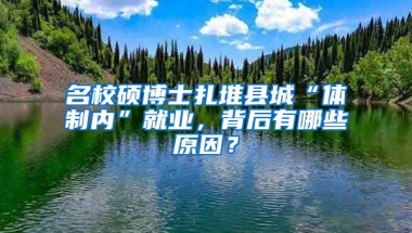 名校碩博士扎堆縣城“體制內(nèi)”就業(yè)，背后有哪些原因？