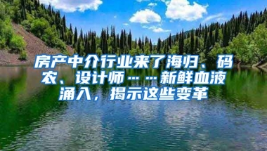 房產(chǎn)中介行業(yè)來了海歸、碼農(nóng)、設(shè)計師……新鮮血液涌入，揭示這些變革