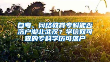 自考、網(wǎng)絡(luò)教育專科能否落戶湖北武漢？學(xué)信網(wǎng)可查的?？茖W(xué)歷可落戶