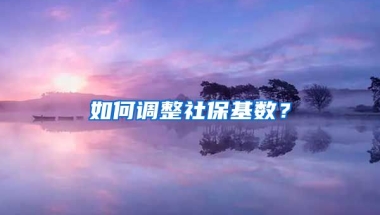 如何調(diào)整社保基數(shù)？