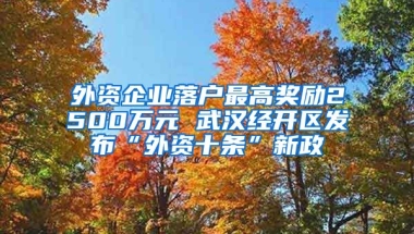 外資企業(yè)落戶最高獎勵2500萬元 武漢經(jīng)開區(qū)發(fā)布“外資十條”新政