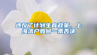 違反了計(jì)劃生育政策，上海落戶如何一票否決