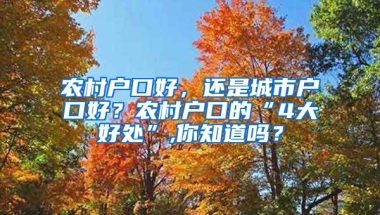 農(nóng)村戶口好，還是城市戶口好？農(nóng)村戶口的“4大好處”,你知道嗎？