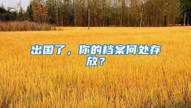 出國了，你的檔案何處存放？