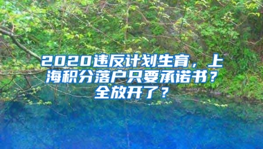 2020違反計劃生育，上海積分落戶只要承諾書？全放開了？