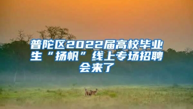 普陀區(qū)2022屆高校畢業(yè)生“揚(yáng)帆”線上專場招聘會來了