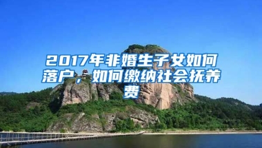 2017年非婚生子女如何落戶(hù)，如何繳納社會(huì)撫養(yǎng)費(fèi)